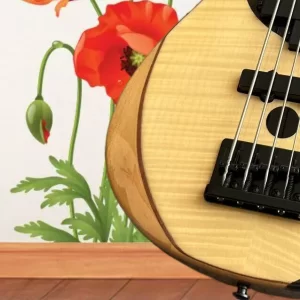 electric guitar, factory provides fast and free delivery, multiple styles, high end quality, customizable @v1