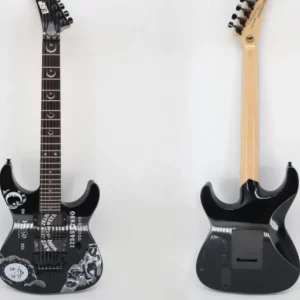 esp electric guitar mahogany body emg pickup black hardware glossy finish fast delivery
