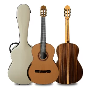yulong guo rosewood chamber classical guitar