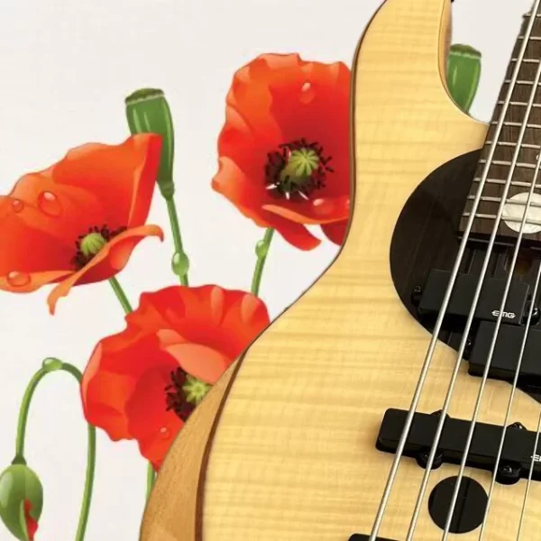 electric guitar, factory provides fast and free delivery, multiple styles, high end quality, customizable @v1