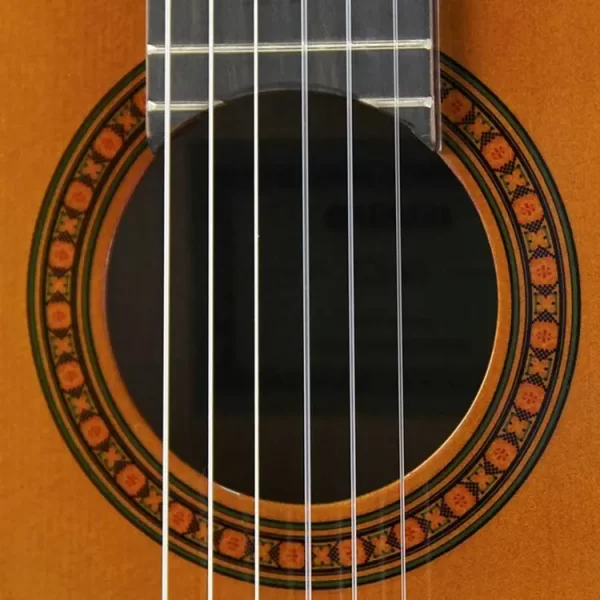 wholesale direct sales guitar for student 2025 cs40 classical guitar guitnylon stringsar with factory outlet