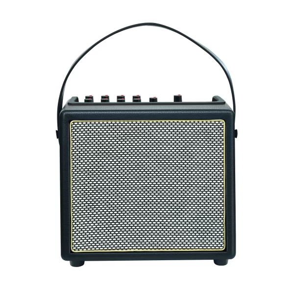 rowin acoustic guitar amplifier,30 watt bluetooth speaker rechargeable portable acoustic guitar amp with reverb chorus effect