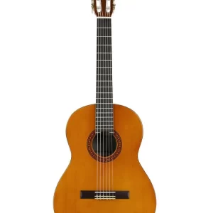 wholesale direct sales guitar for student 2025 cs40 classical guitar guitnylon stringsar with factory outlet