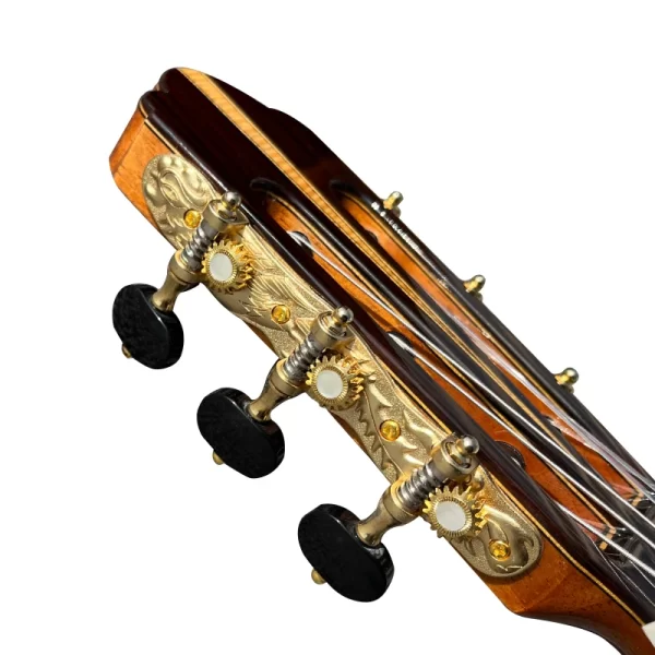 yulong guo ziricote concert classical guitar