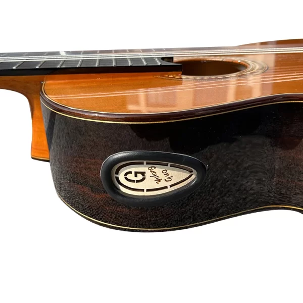yulong guo ziricote concert classical guitar