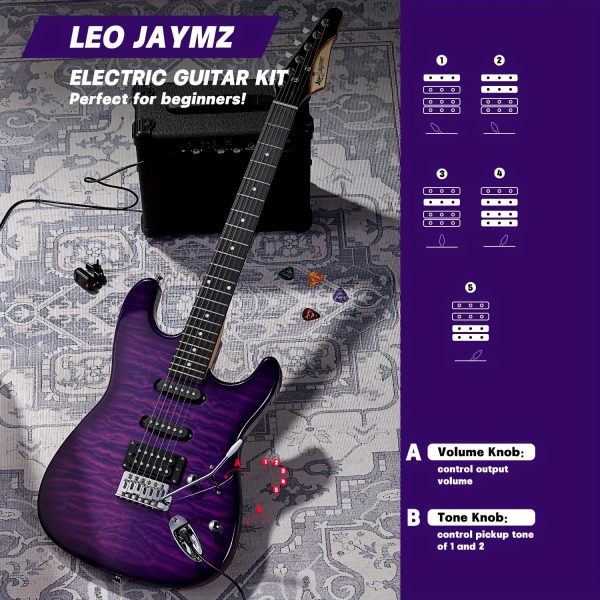 leo jaymz 39 inch full size electric guitar kit electric guitar beginner kits 20w amplifier, digital tuner, carring bag, shoulder strap, connecting cable