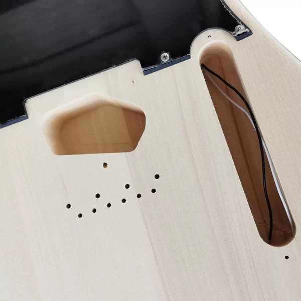 aiersi diy full set of st tl electric guitar kit, basswood body, unfinished neck, all hardware