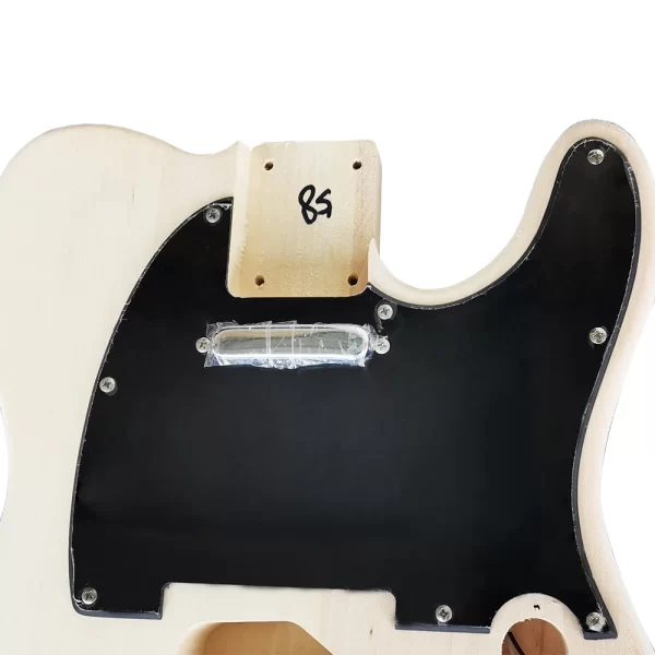 aiersi diy full set of st tl electric guitar kit, basswood body, unfinished neck, all hardware