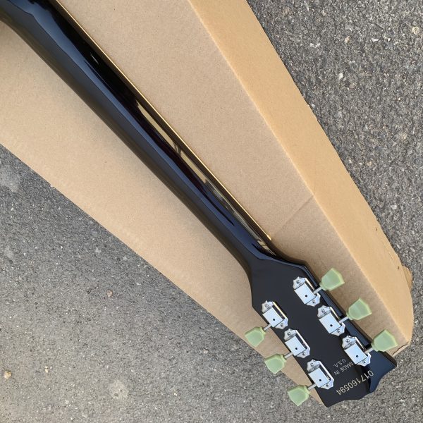 electric guitar with carbon tassel detail black & teal hybrid design, 22 frets, f hole details, & rosewood neckboard room electrical hardwired, 36v or below, electric guitar