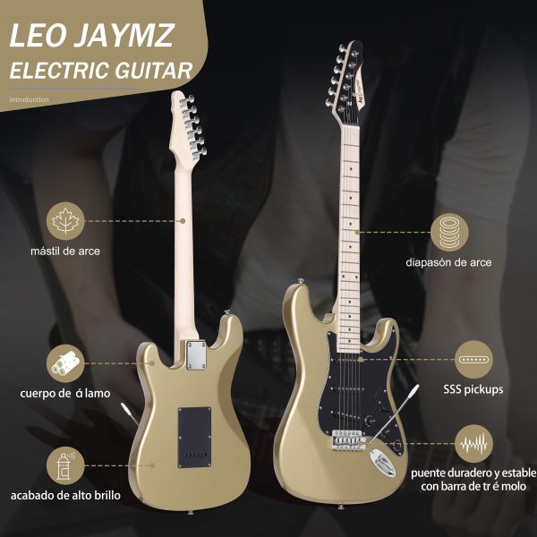 leo jaymz 39 inch full size electric guitar kit electric guitar beginner kits 20w amplifier, digital tuner, carring bag, shoulder strap, connecting cable